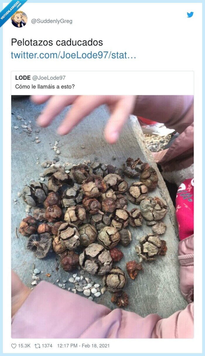 pelotazos,caducados,pi&ntilde;azos,bolas,pino