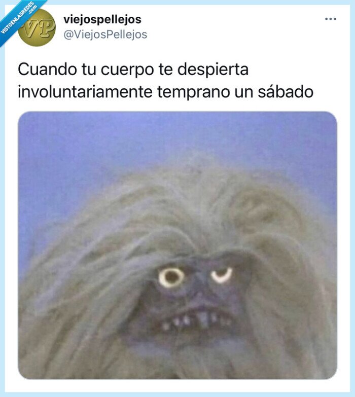 sabado,madrugar,cuerpo,dormir,fail,real,cara,domingo,finde,situaciones,tuit,tweet