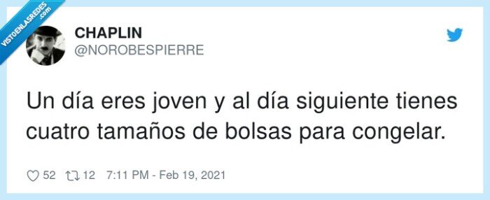 tamaños,congelar,bolsas