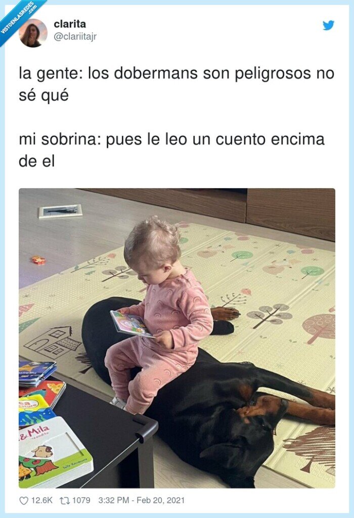 peligrosos,dobermans,sobrina,cuento,perros,gente
