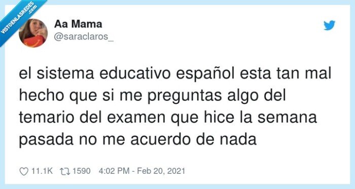 sistema educativo,preguntas,español,temario
