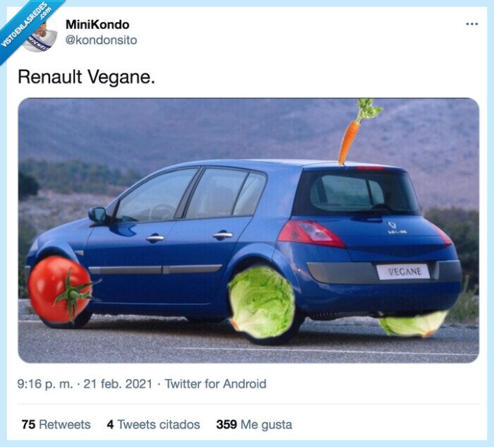 renault,vegane,megane
