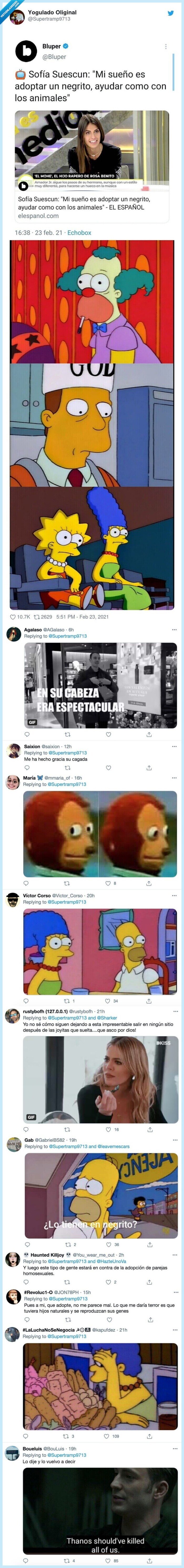 negrito,adoptar,sofia cuescun,animales