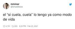 Enlace a Yo en los exámenes de filosofía, por @shadobsss