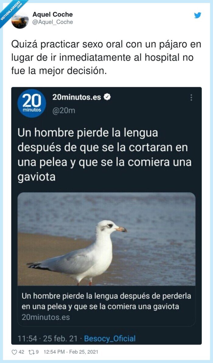 inmediatamente,practicar,decisión,hospital,pájaro