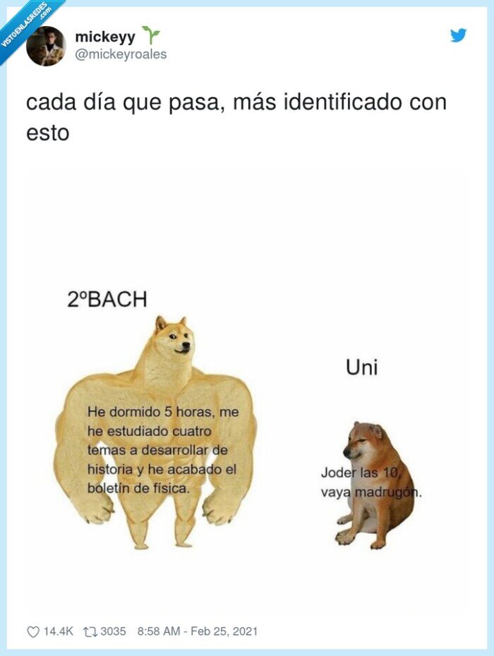 doge,cheems,universidad,bachillerato