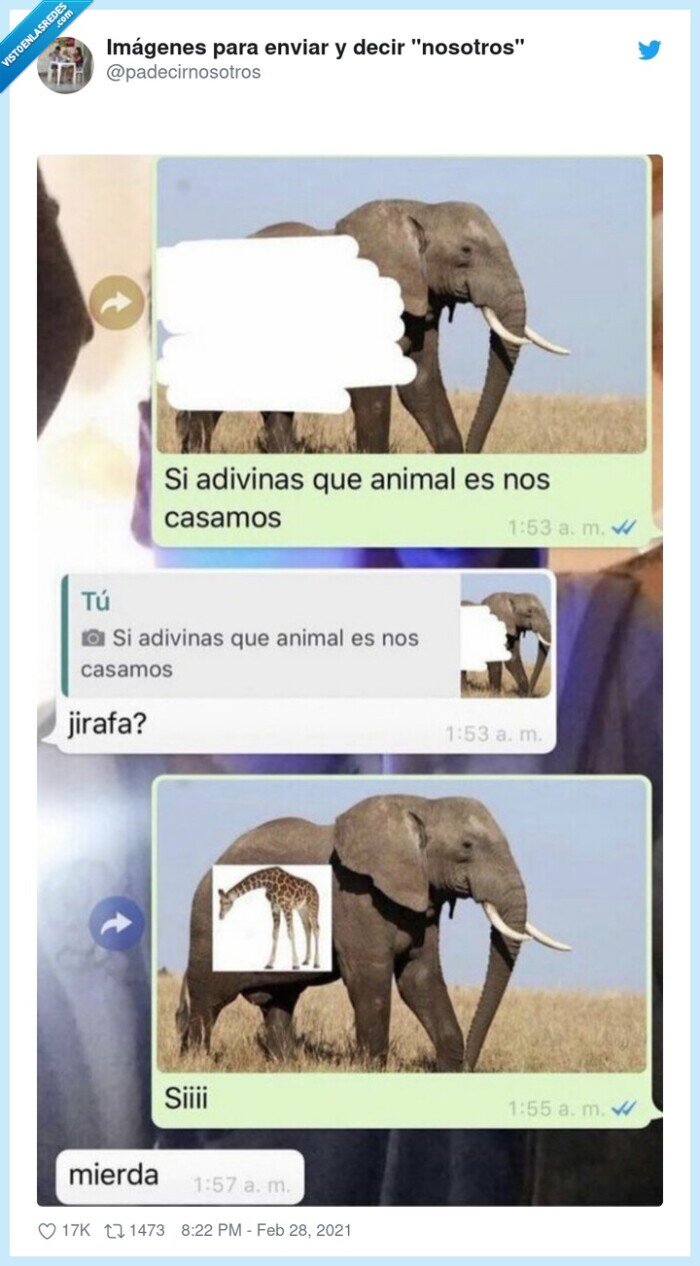 jirafa,elefante