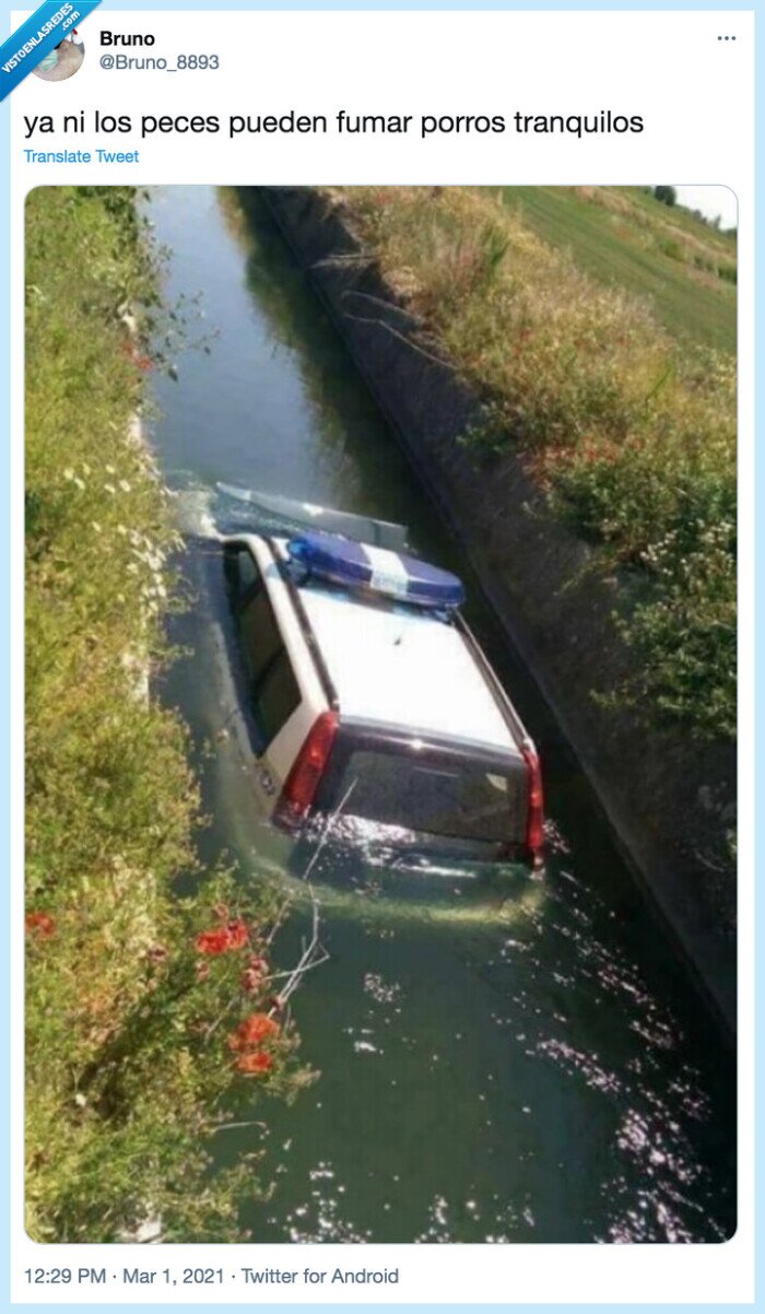 tranquilos,policía,coche,canal,peces,fumar