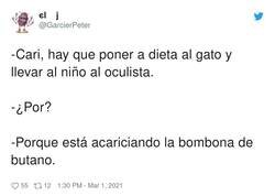 Enlace a El gato era pelirrojo, por @GarcierPeter