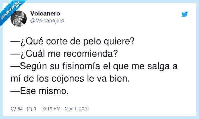 recomendar,fisinomía,corte