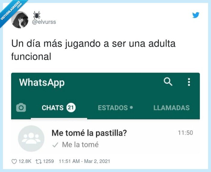 funcional,jugando,adulta