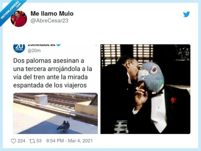 paloma,crimen,asesinar