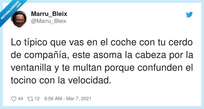 compañía,ventanilla,velocidad,confundir,típico,refran