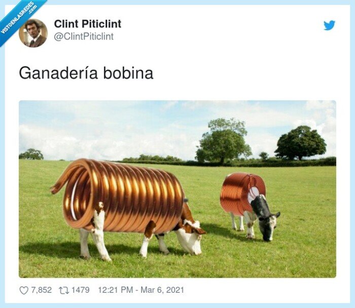 ganadería,bobina,vacas