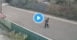 Enlace a En este vídeo pasan tantas cosas raras a la vez que vas a tener que verlo varias veces para entender algo, por @jomamugue2