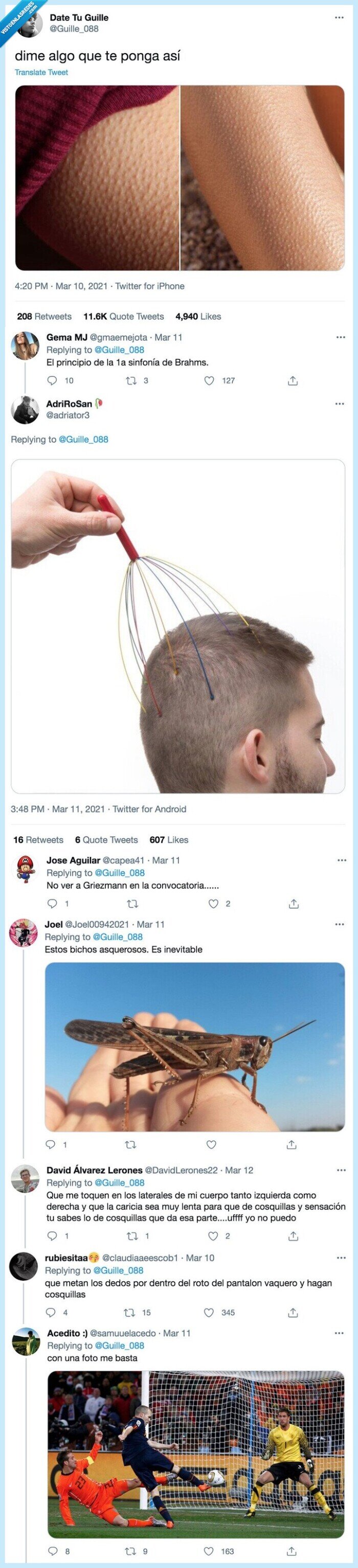 pelos de punta,brazo,escalofríos