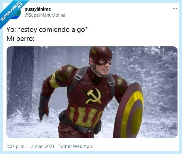 perro,comer,comunismo