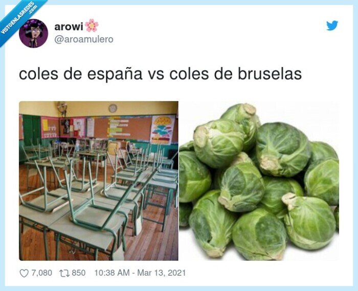 bruselas,espa&ntilde;a,coles