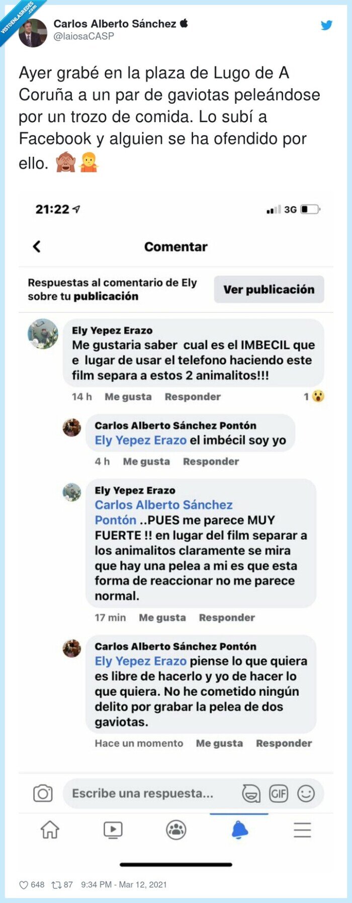 pelea,ofendido,facebook,gaviotas