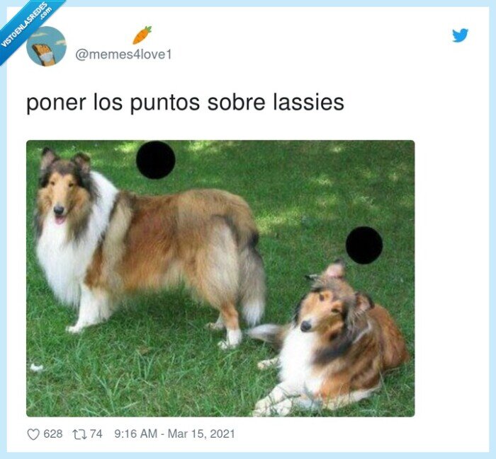 lassies,puntos,poner,sobre