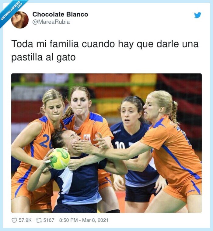 pastilla,familia,gato