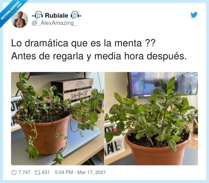 dramática,regarla,menta,antes