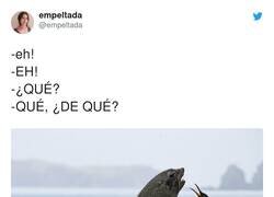 Enlace a QUÉ DE QUÉ, por @empeltada