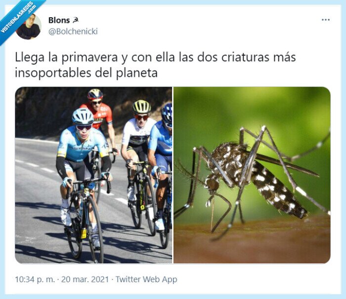 primavera,mosquito,ciclista,ciclistas