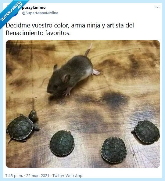 tortugas,ninja,rata