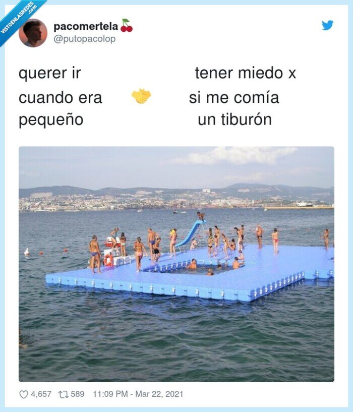 tiburón,pequeño,mar,plataforma,miedo