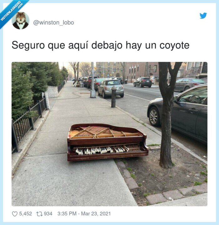 seguro,debajo,coyote,piano roto,correcaminos