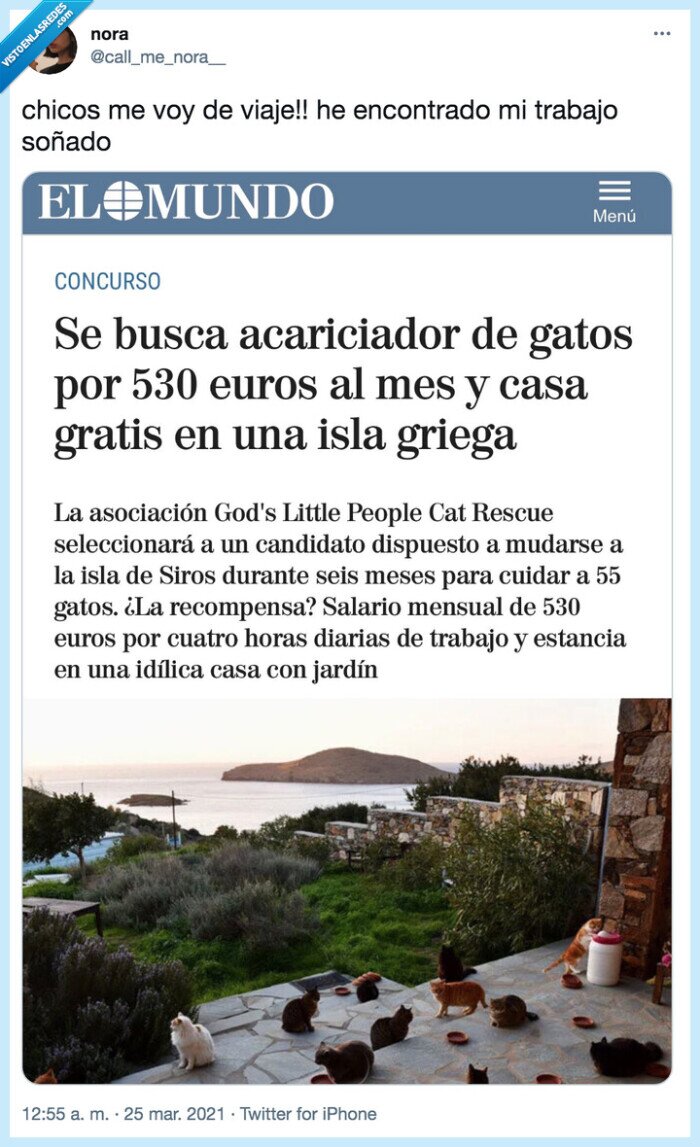 trabajo,gatos,acariciar,grecia