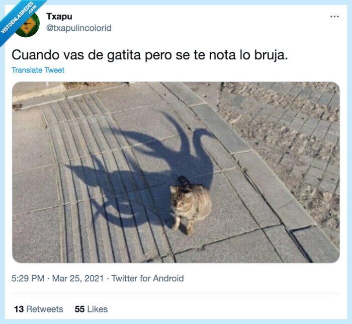 sombra,gatita,bruja