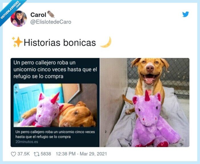 perro,unicornio,regalo,comprar