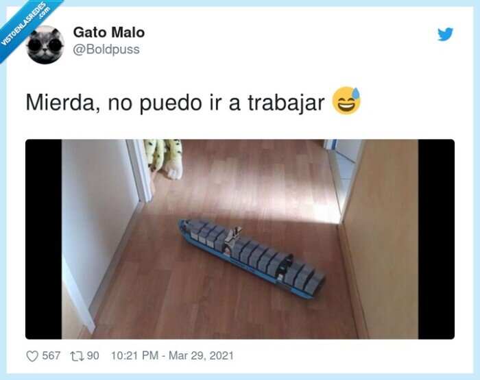 meme,barco,evergreen