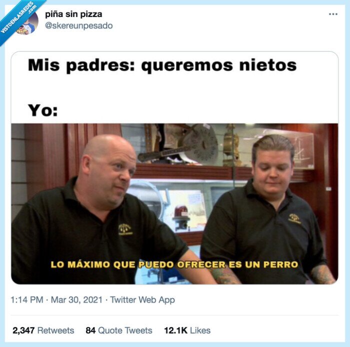 perro,ofrecer,nietos,arriesgarse