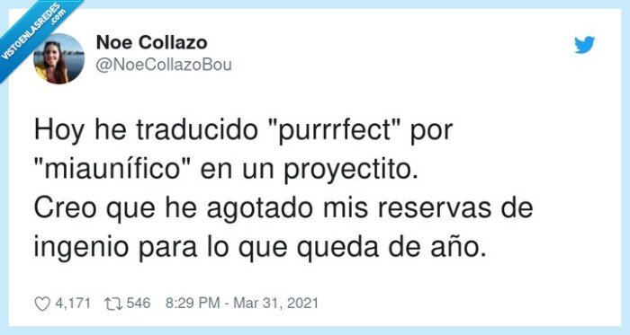 miaunífico,proyectito,traducción,ingenio,purrrfect,reservas