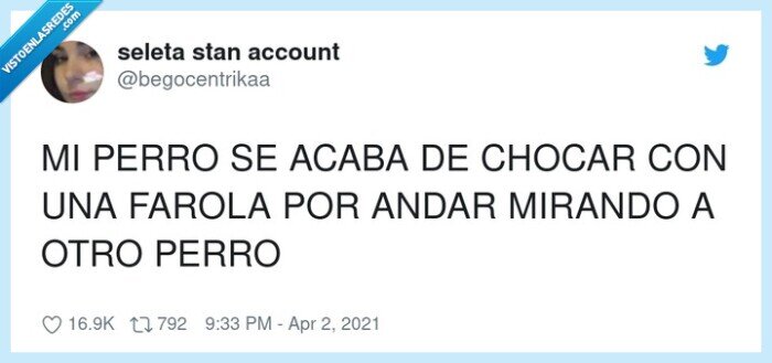 mirar,chocar,farola,perro,acabar,andar