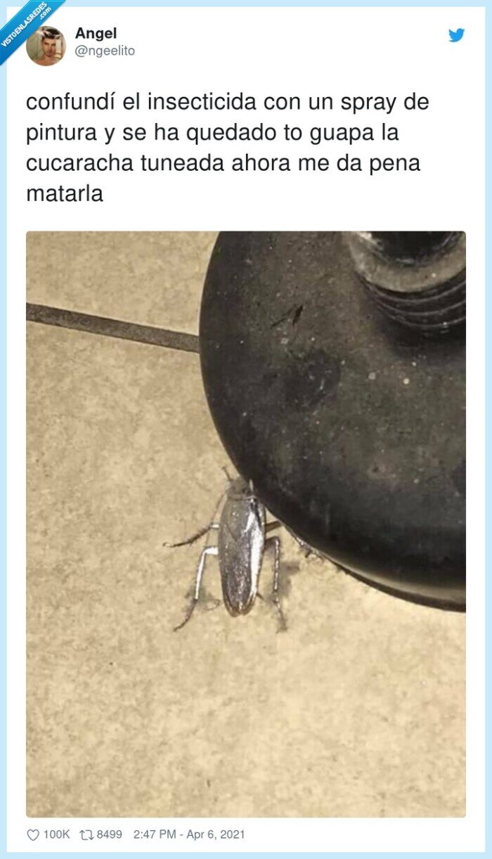 insecticida,confundir,cucaracha,pintura,plateada,tuneada