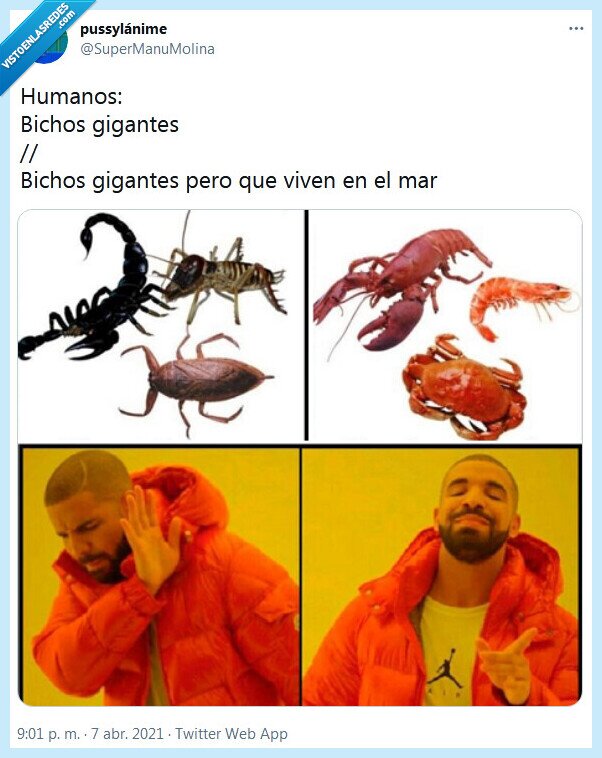 bichos,mar,humanos,gigantes