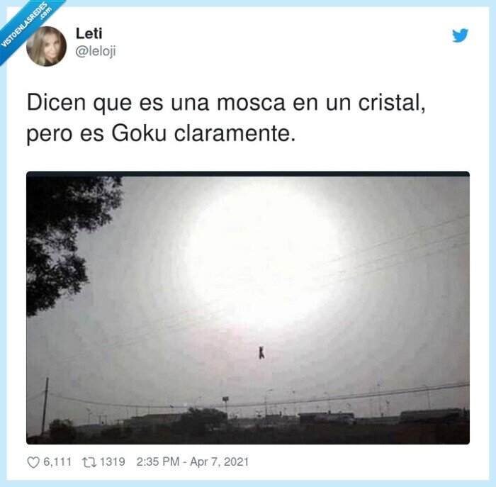 claramente,cristal,mosca,genkidama,goku