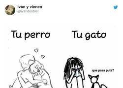 Enlace a A los gatos hay que quererlos, por @ivandooblef