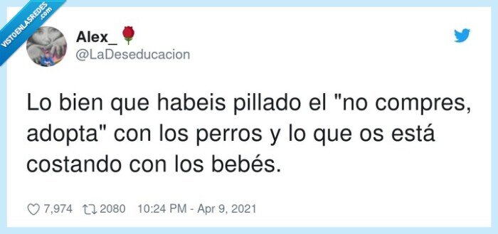 comprar,coste,pillado,adoptar,perros,bebés