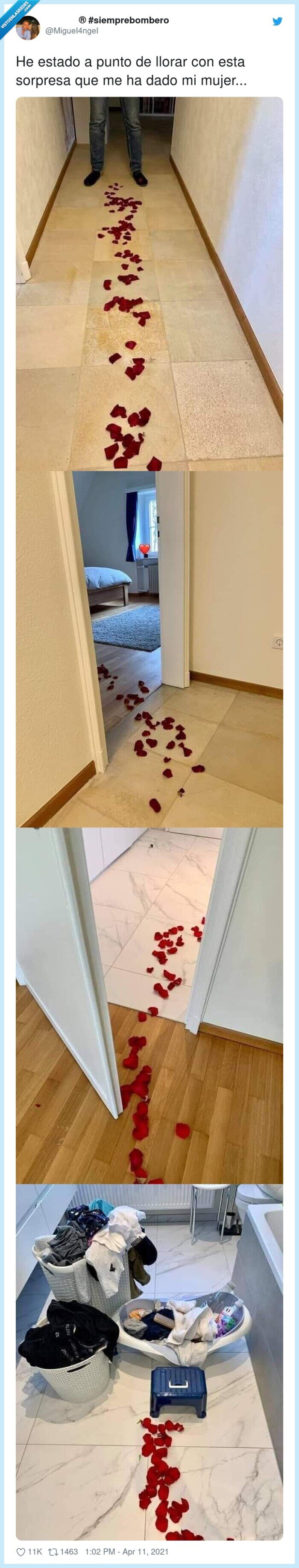 sorpresa,petalos,rosa,mujer