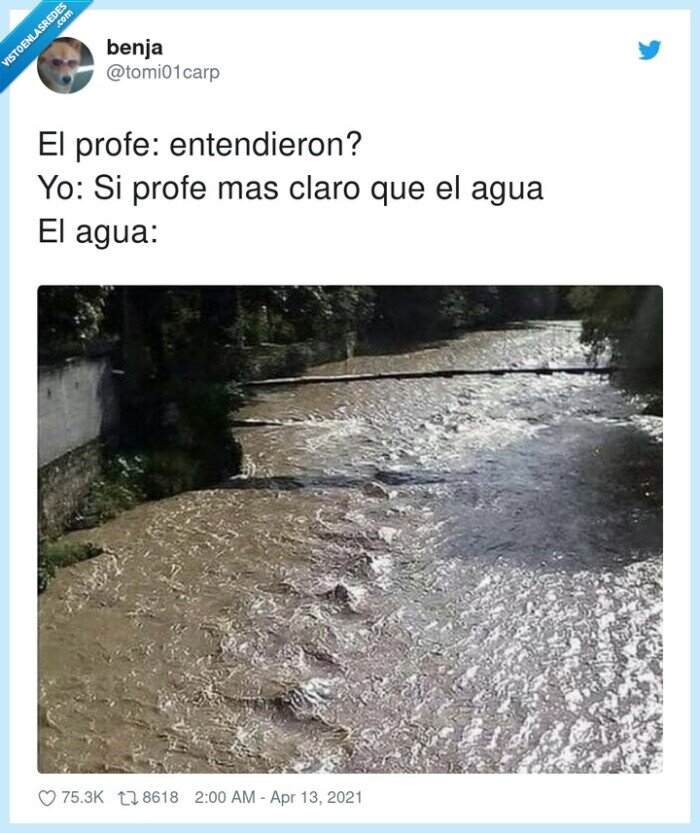 entender,profesor,claro,agua