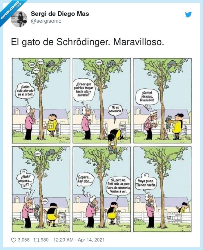 858891 - El gato de schrödinger, por @sergisonic