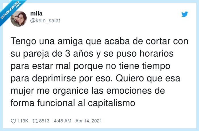 capitalismo,deprimirse,funcional,emociones,organizar,horarios