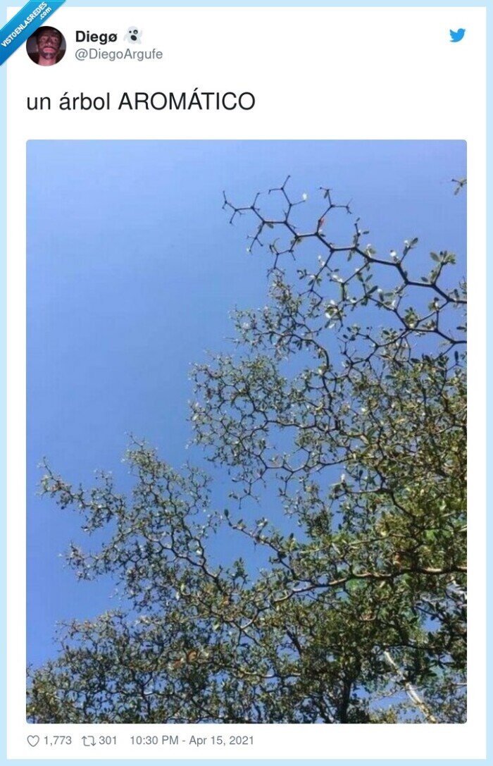 aromático,árbol