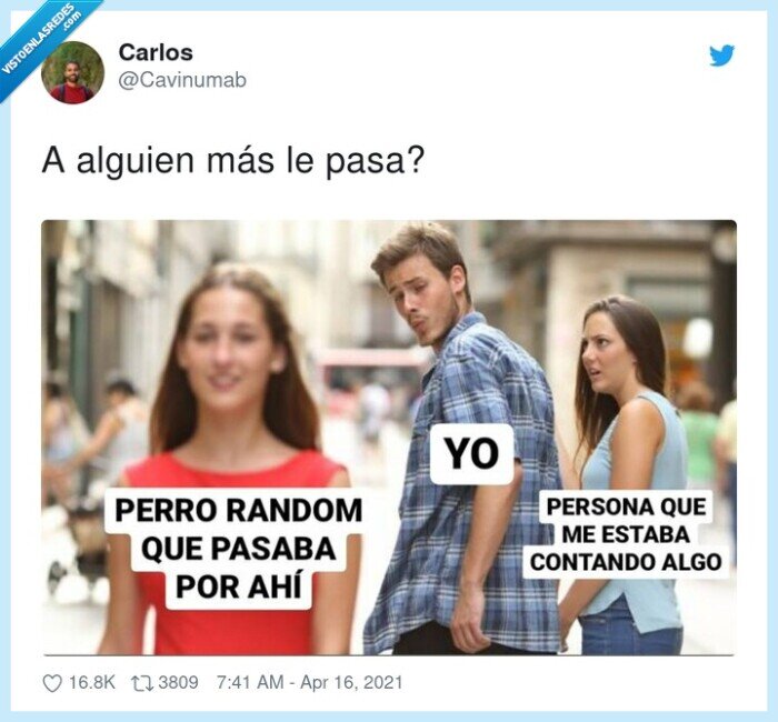 despistarse,perro,pasar