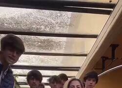 Enlace a En cambio los canis son todos distintos ¿no? , por @MperfectB